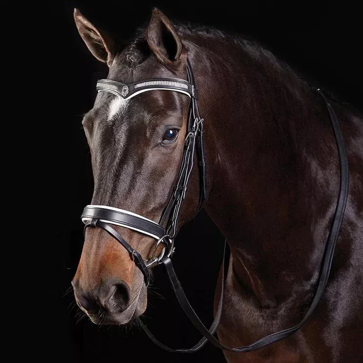 Collegiate V Shaped Diamante Hano Bridle