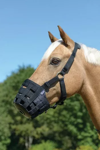 Comfort Grazing Muzzle