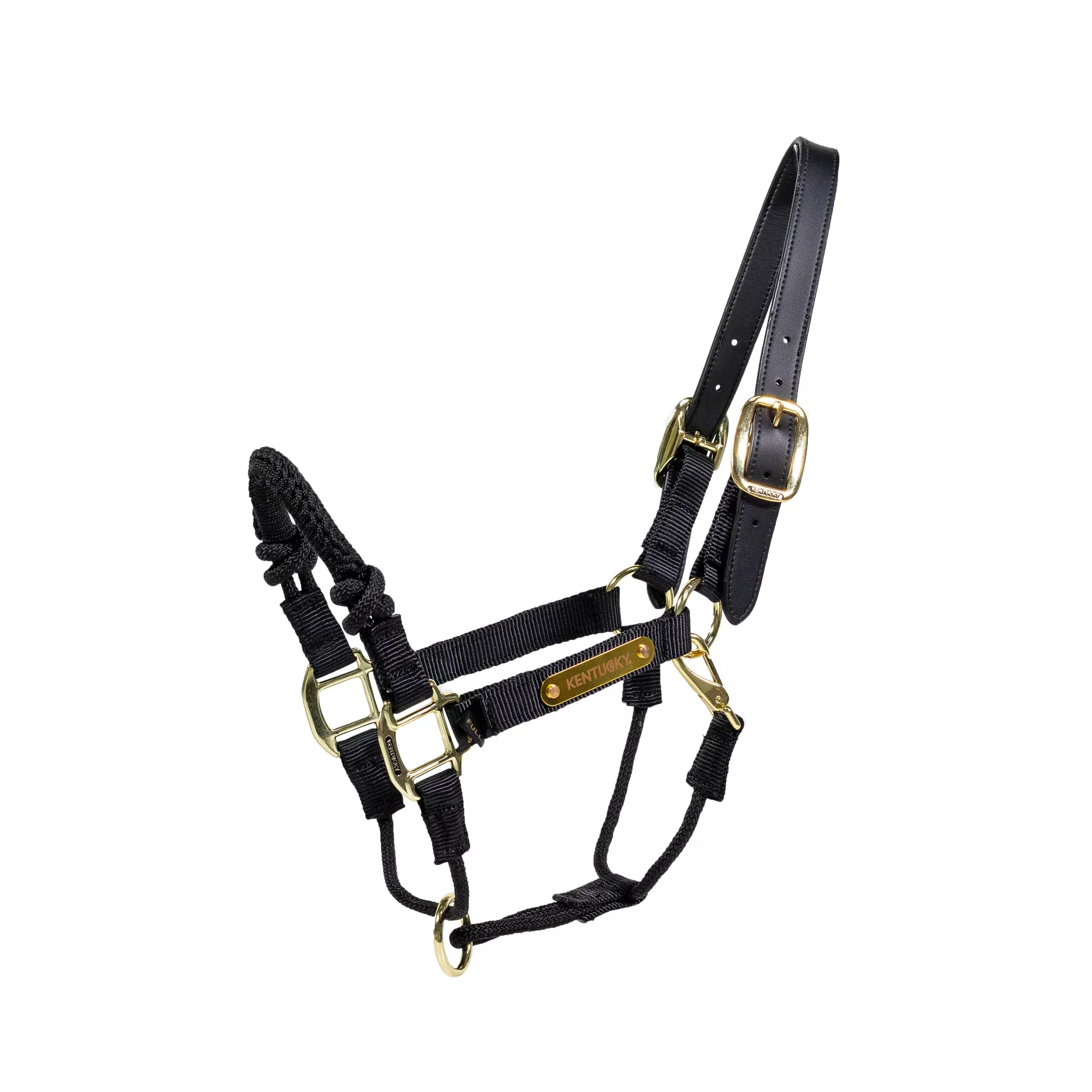 Control Halter