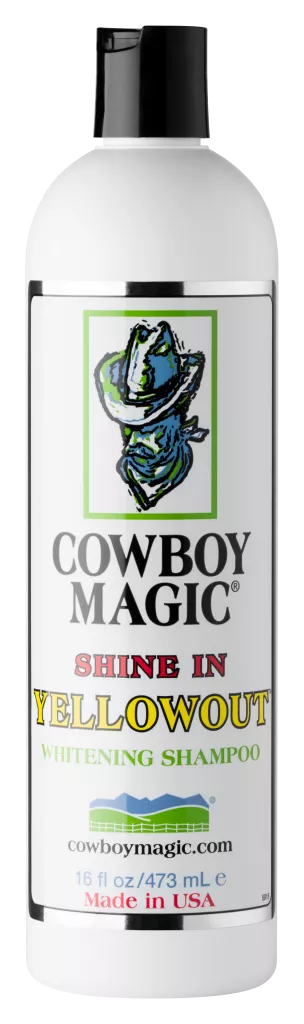Cowboy Magic Shine in Yellowout