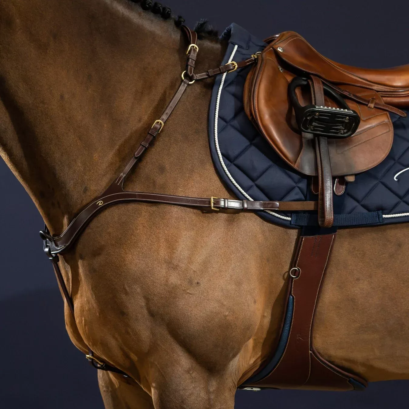 D Collection Anatomic Breastplate