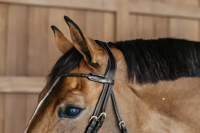 D Collection Braided Browband