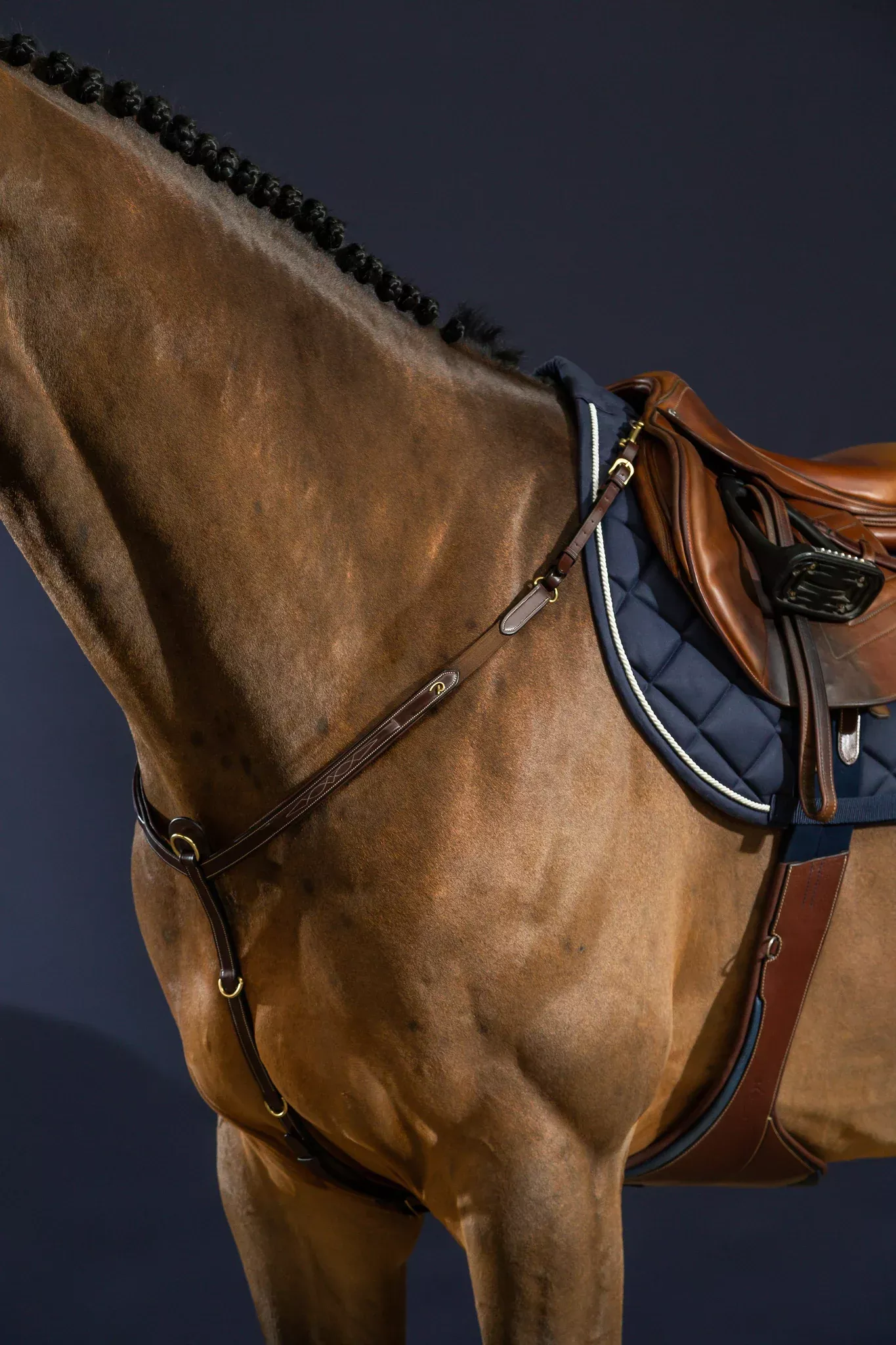 D Collection Breastplate
