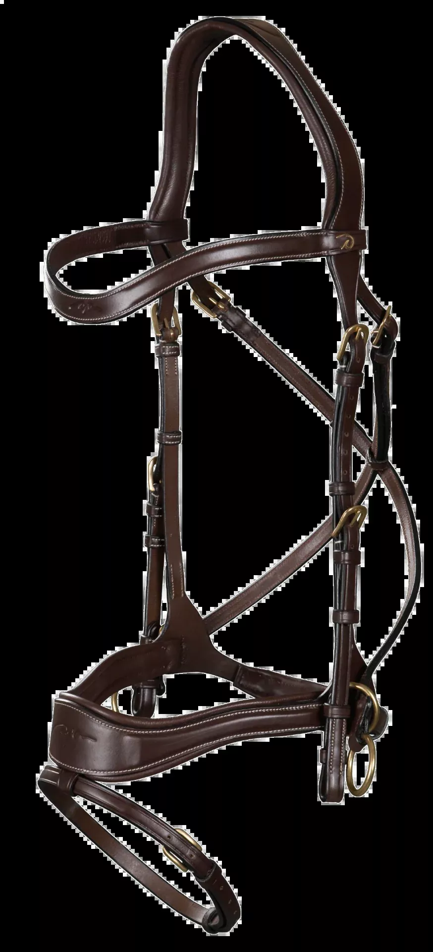 D Collection D Motion Bridle