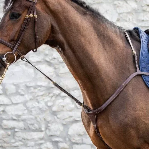 D Collection Standing Martingale Attachement