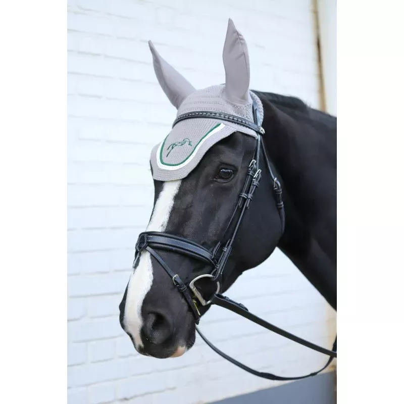 Daily Bridle