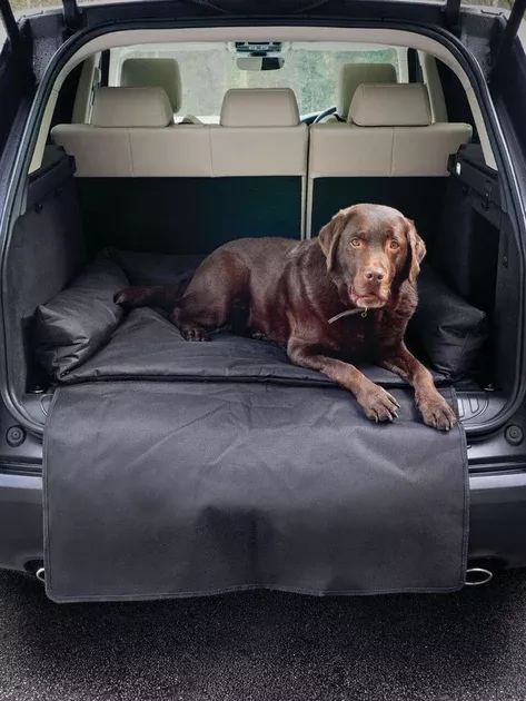 Danish Design Boot Dog Bed