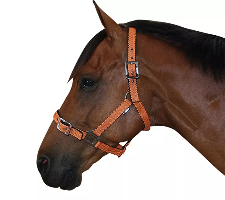 Derby Cross Cushion Halter