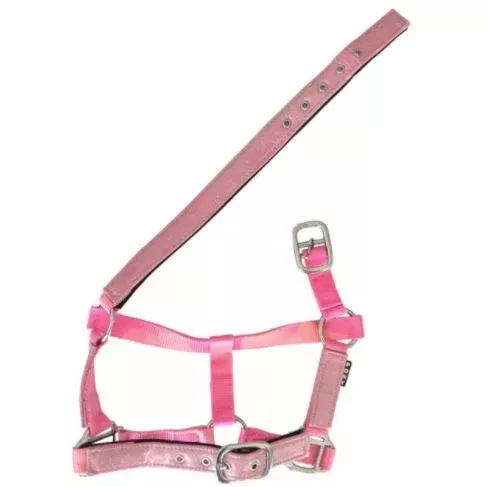 Derby Rexeen Sparkle Padded Halter