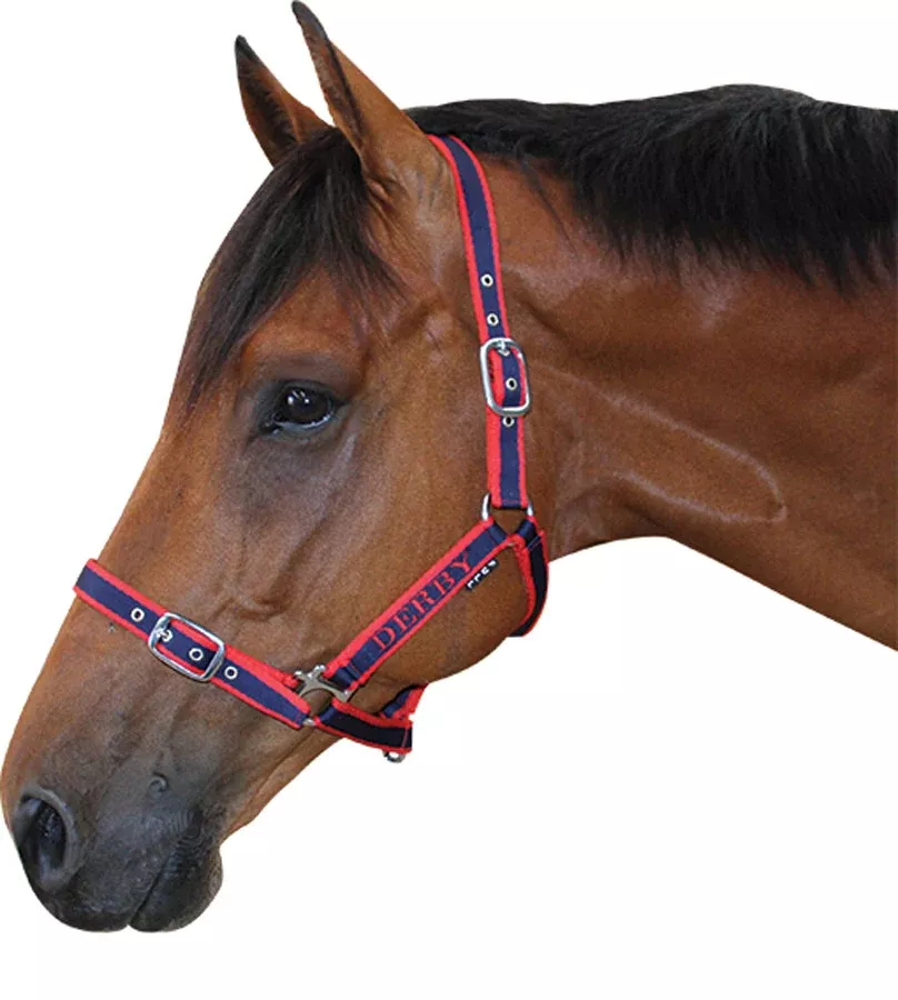 Derby Soft Cushion Halter