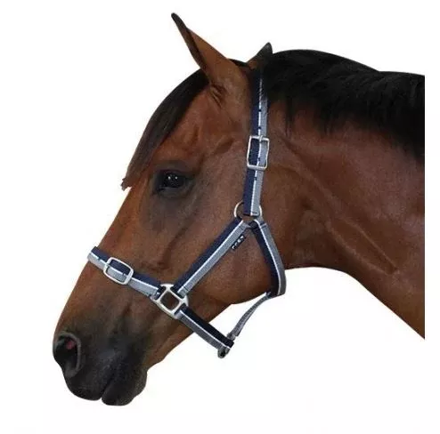 Derby Stripe Halter