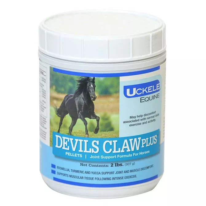 Devils Claw Plus Joint Supplement for Horses