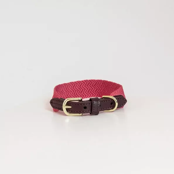 Dog Collar Jacquard