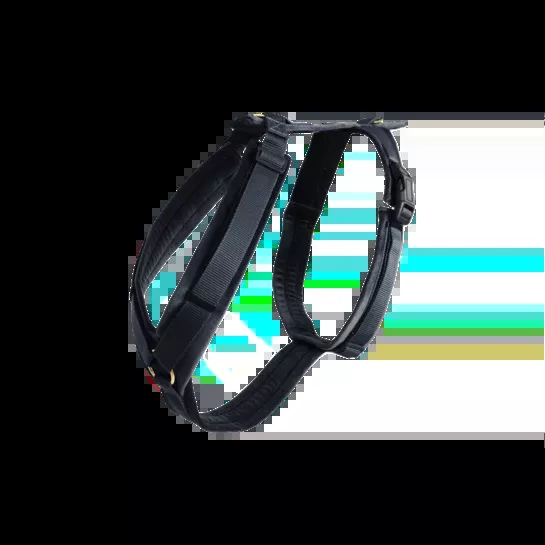 Dog Harness Active Velvet