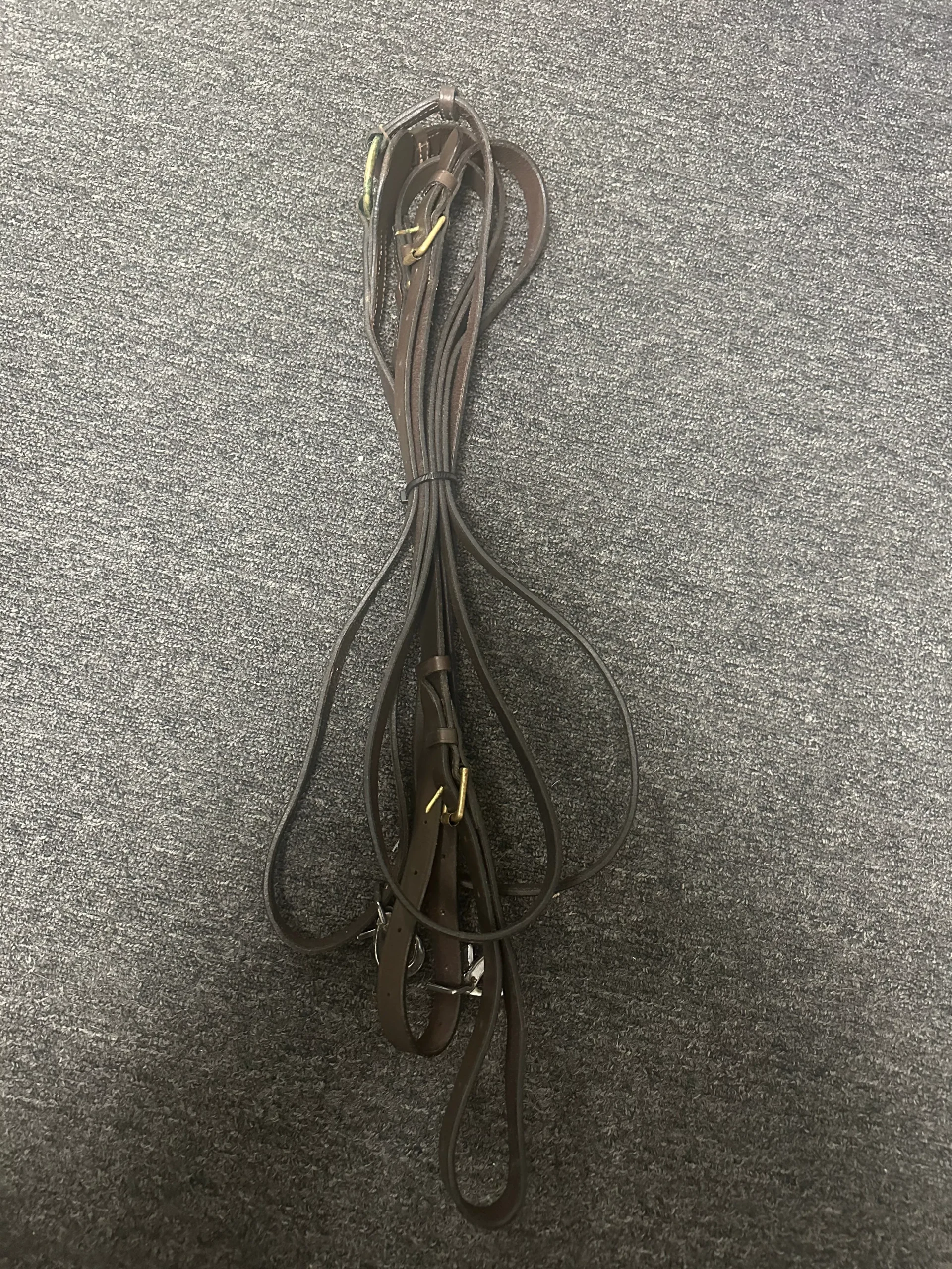 Draw Reins with clips