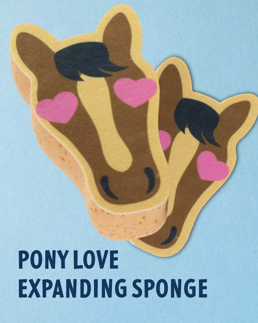 Dreamers and Schemers Vacuum Sealed Sponges