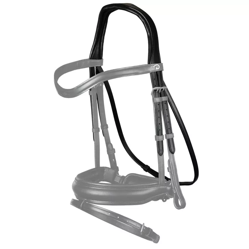 Dressage Anatomic Headpiece