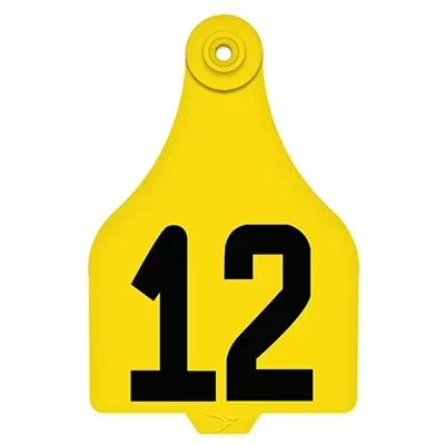 Duflex Tag Blanks