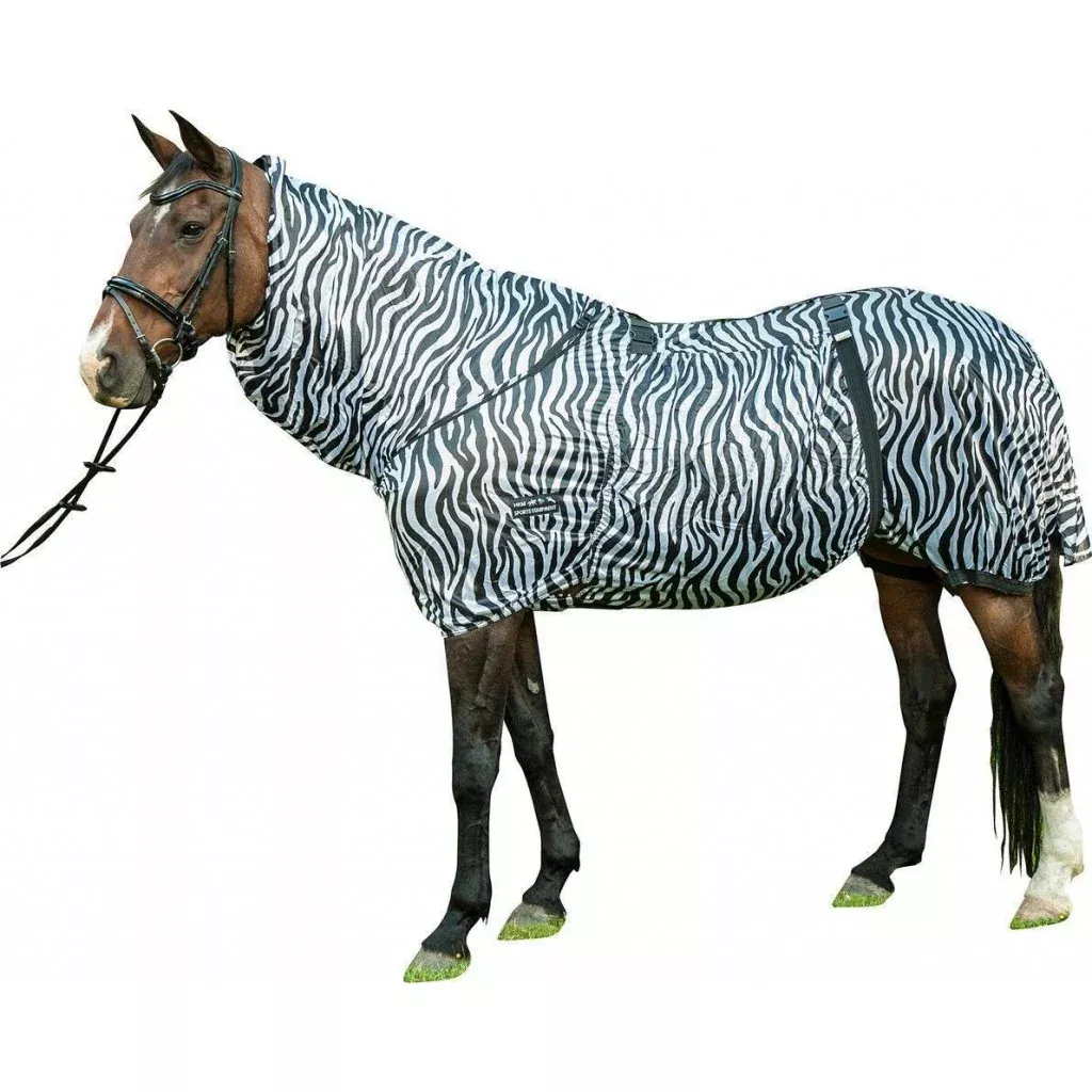 Eczema Rug Zebra
