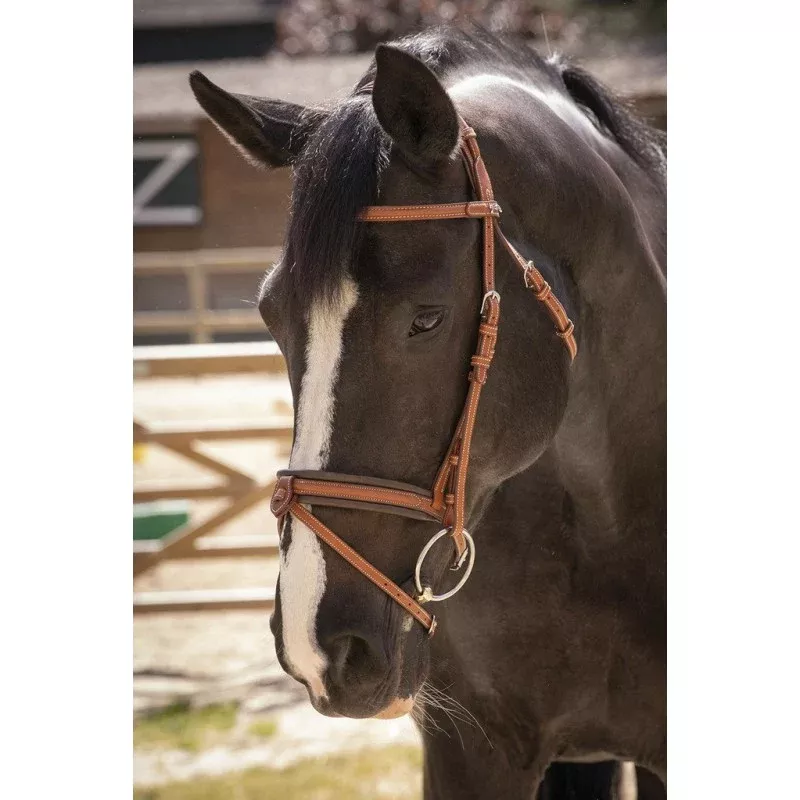 Elegance Bridle