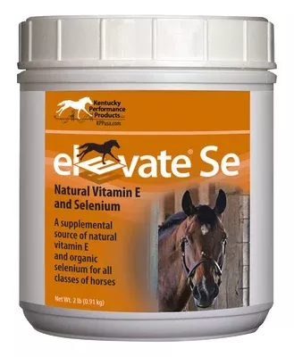 Elevate SE with Selenium