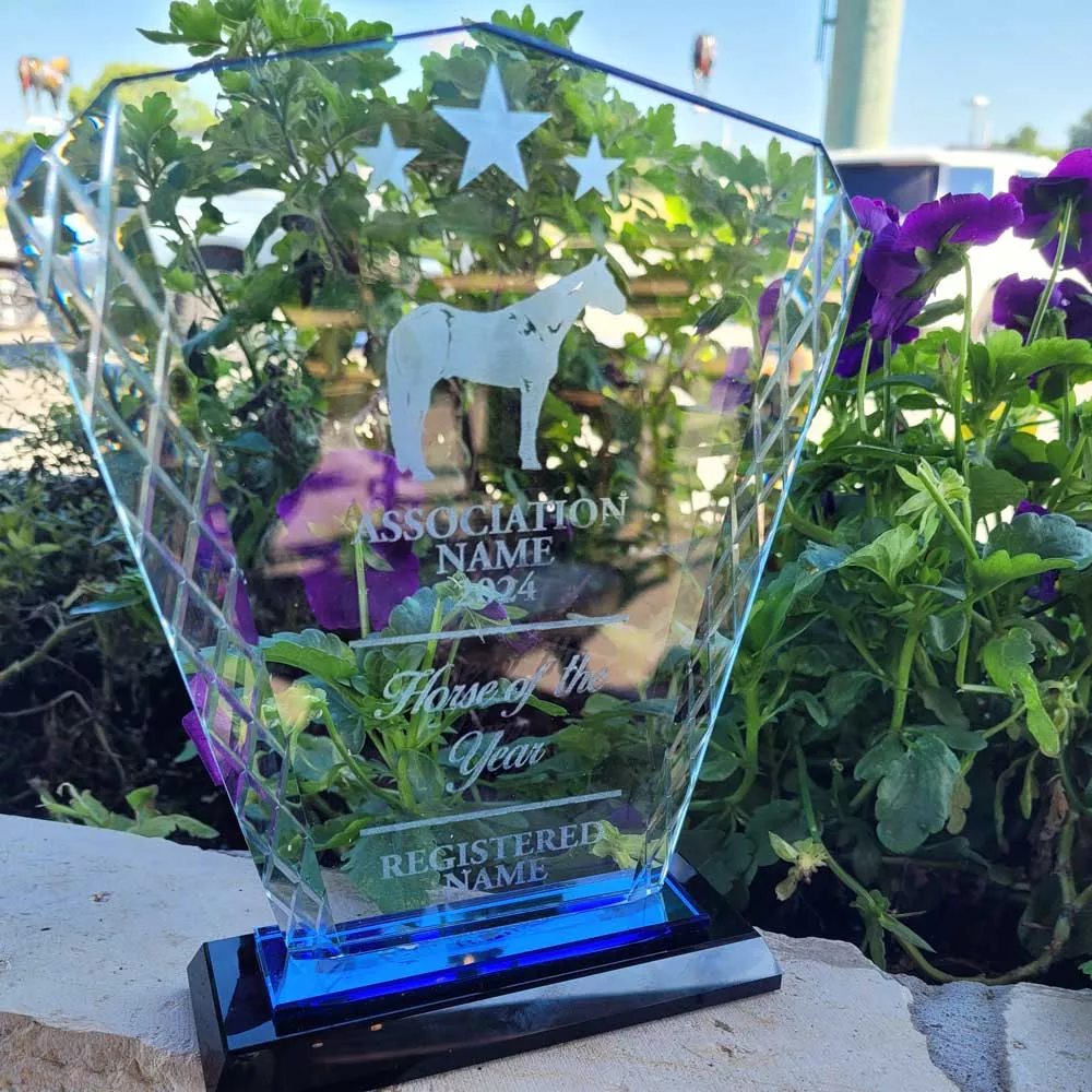 Engravable Glass Trophy