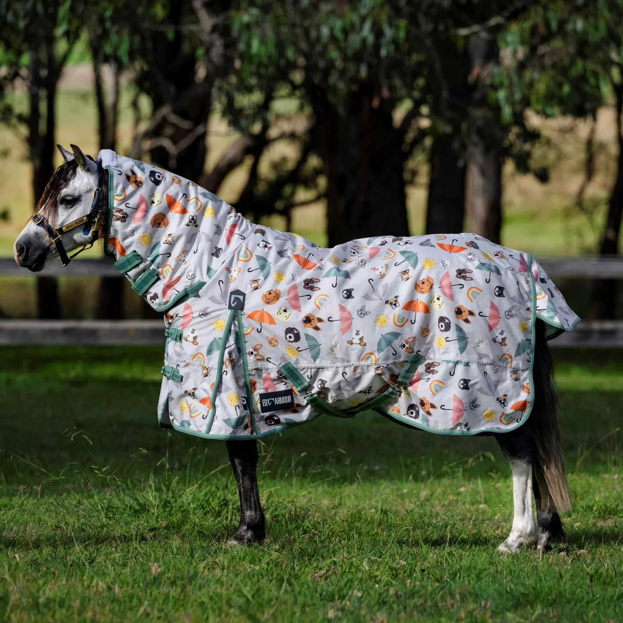 EQ Armour Ascent 600 Combo Pony