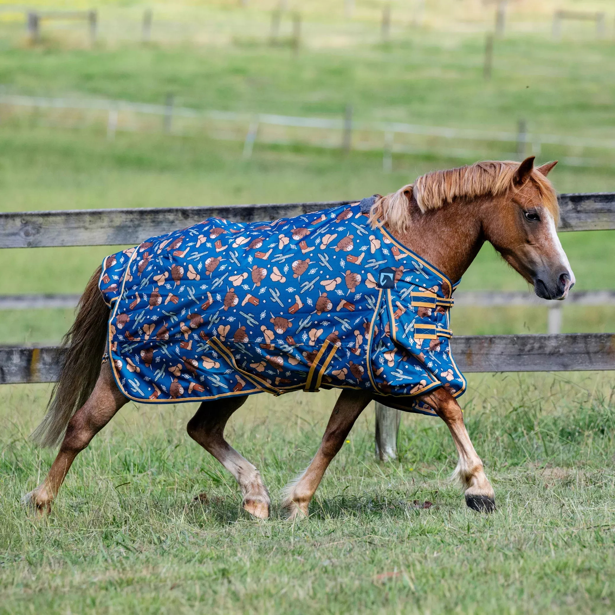 EQ Armour Ascent 600D 180g Rug Pony