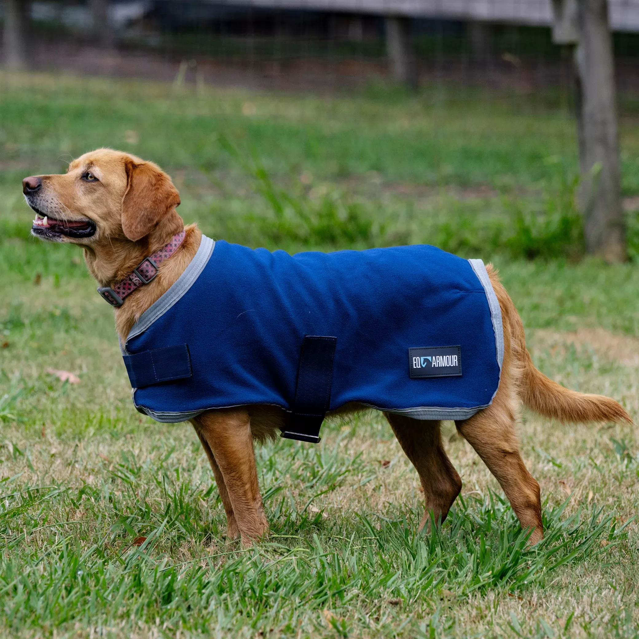 EQ Armour Fleece Dog Rug