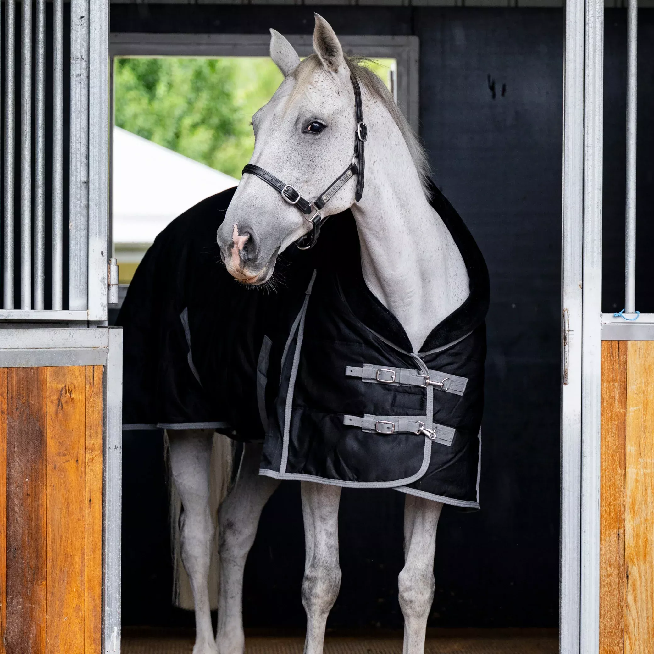 EQ Armour Stable Rug
