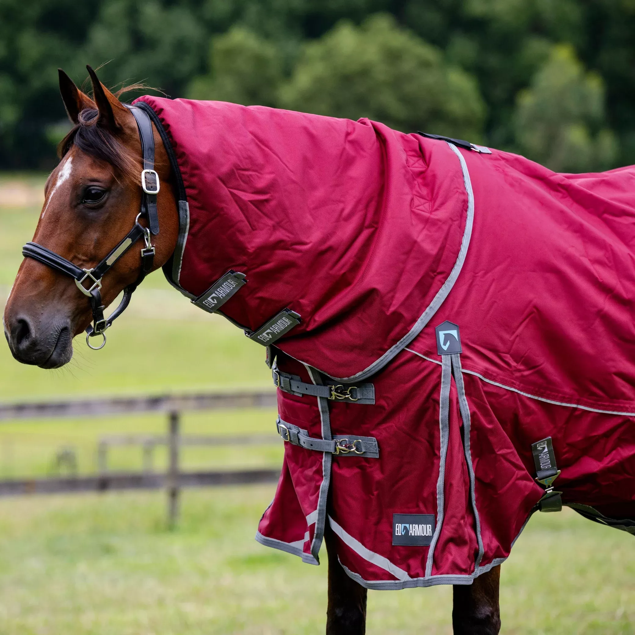 EQ Armour Summit 1680D 250g Detach-a-Neck