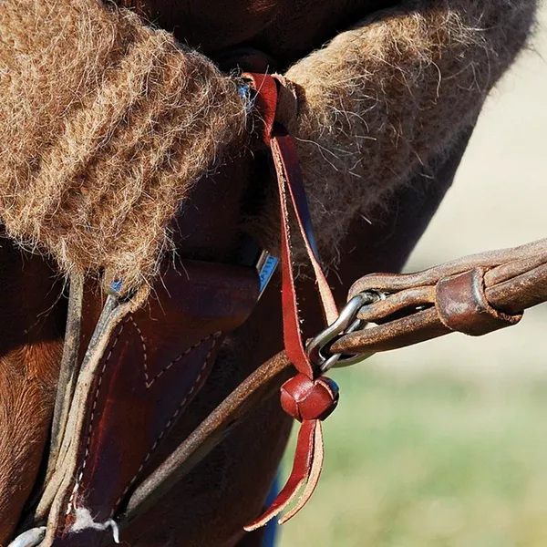 Equibrand Tie Down Hobble