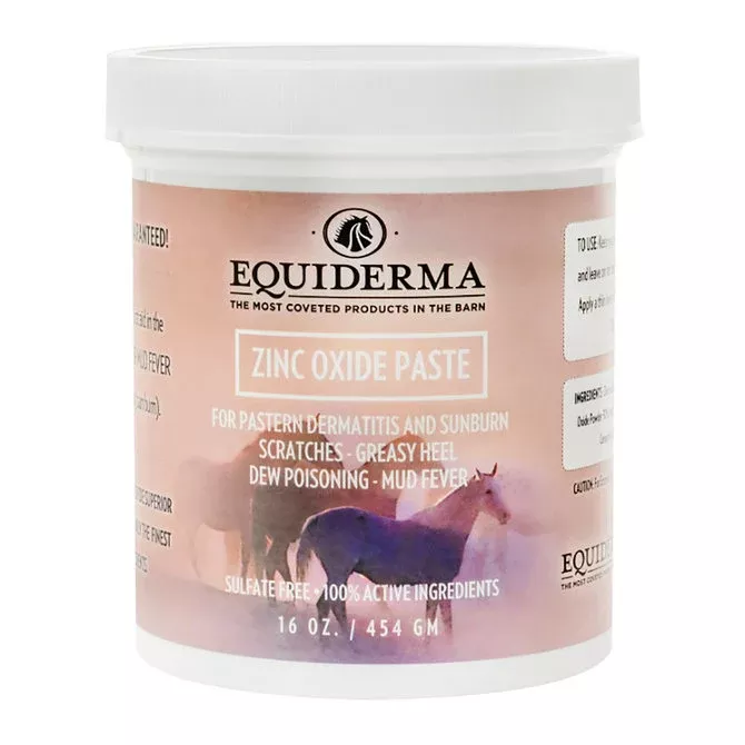 Equiderma Zinc Oxide Paste 16oz