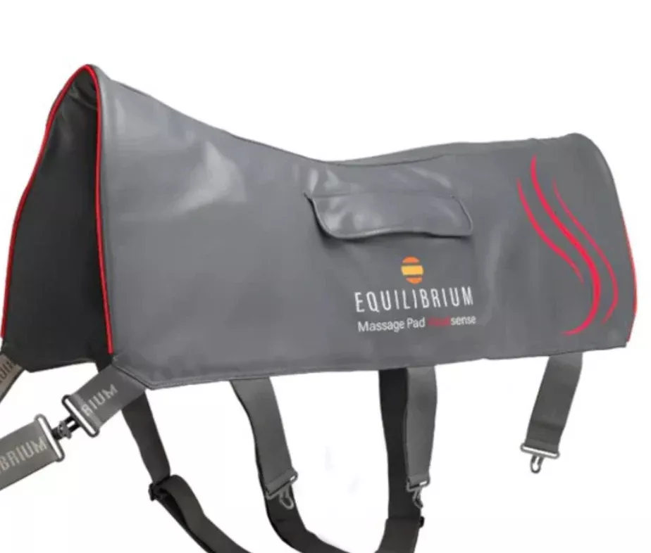 Equilibrium Heat Sense Massage Pad