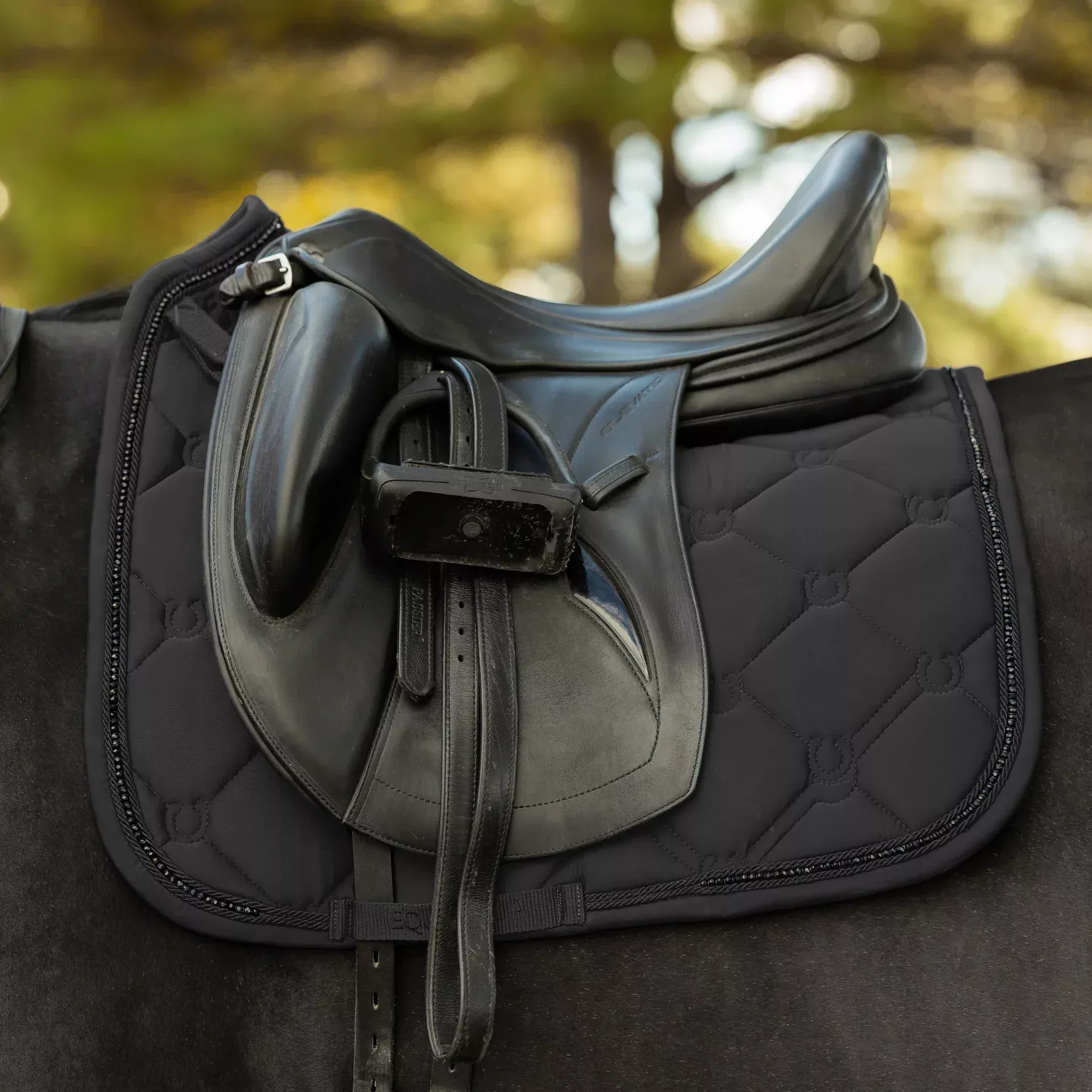 Equinavia Bergen Saddle Pad