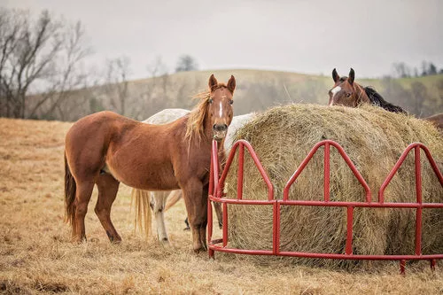 Equine Pro Hay Feeder