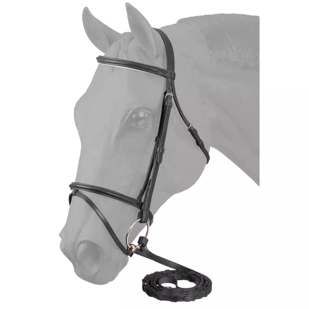 Equitare Padded Flash Noseband Snaffle Bridle