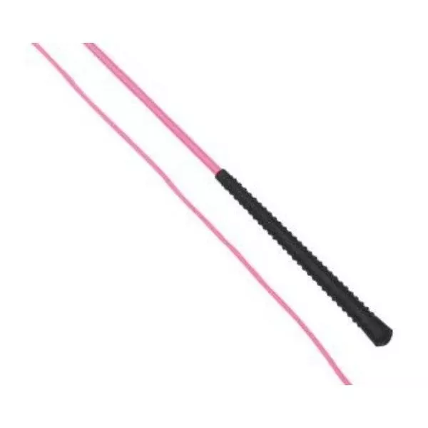 Eureka Lunge Whip