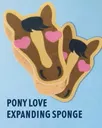Expanding Bathing Sponges