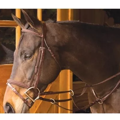 Exselle Elite Plain Raised Running Breastplate