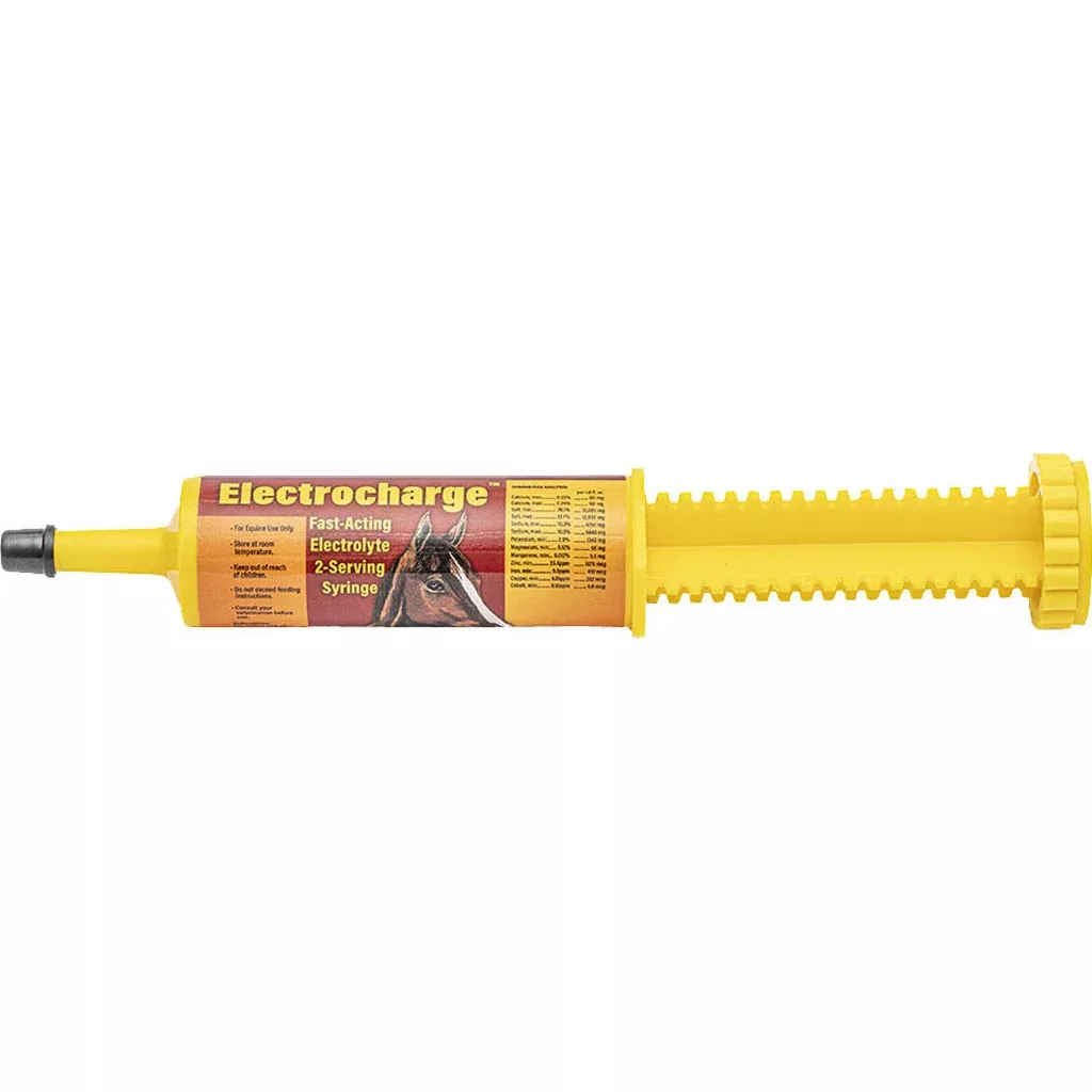 Finish Line ElectroCharge Fast-Acting Electrolyte – 2 oz