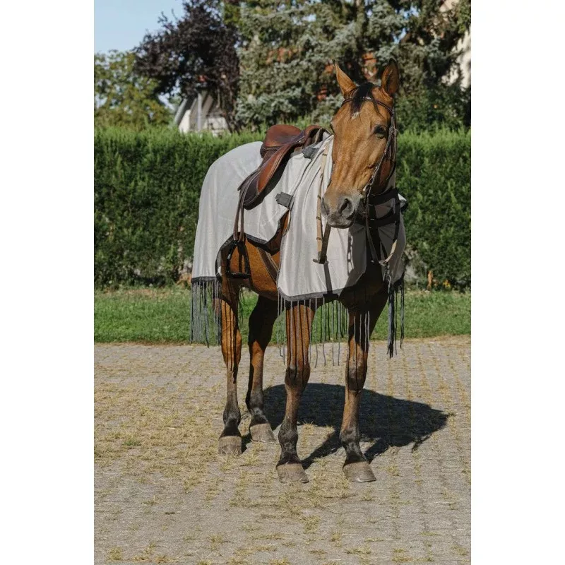 Fly Resistant Work Sheet