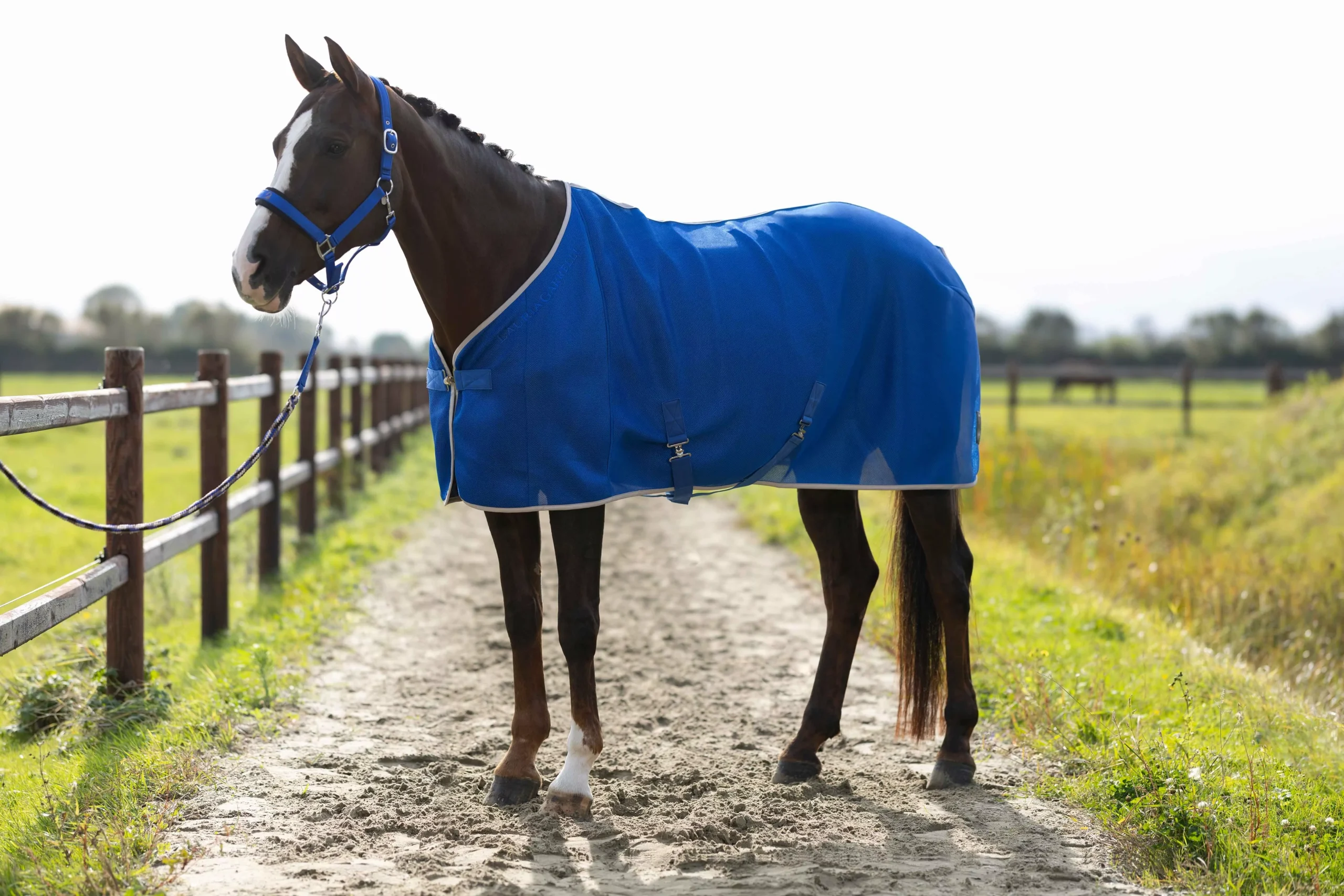 Fly Rug Amalfi