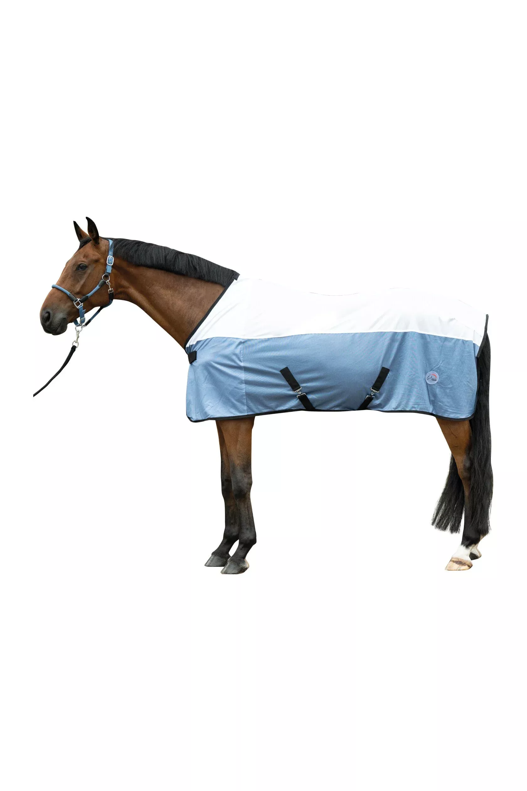 Fly Rug Colourful