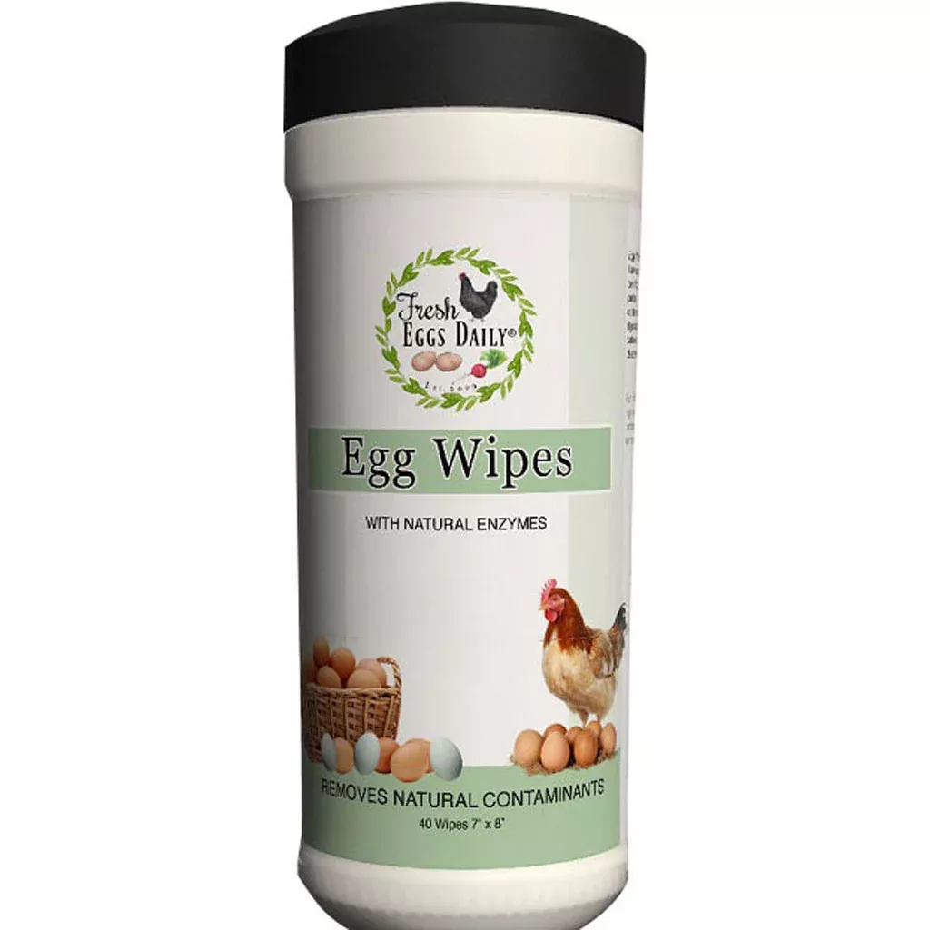 Fresh Eggs Daily Egg Wipes, 40 Count