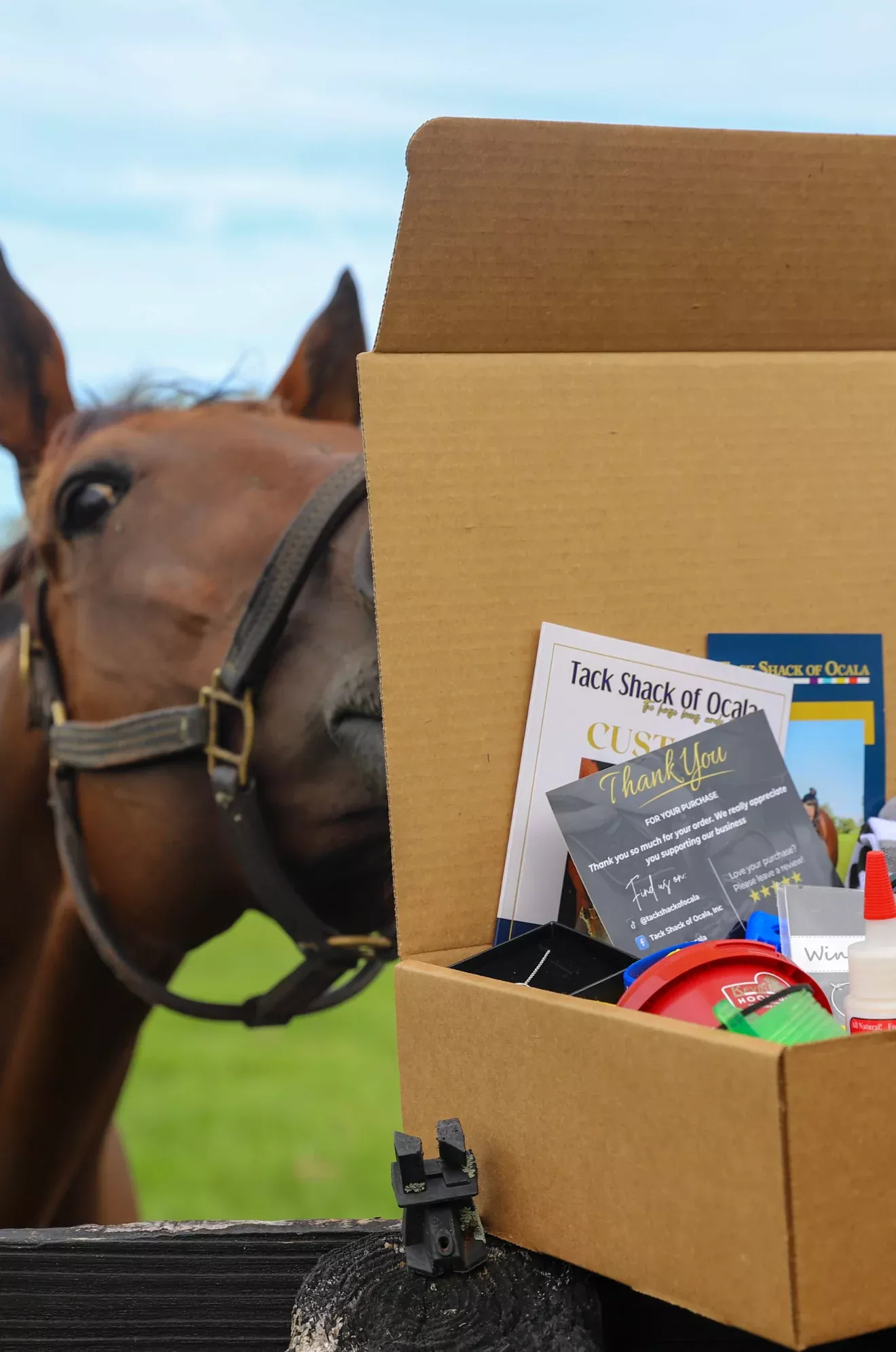 Gallop Goodies
