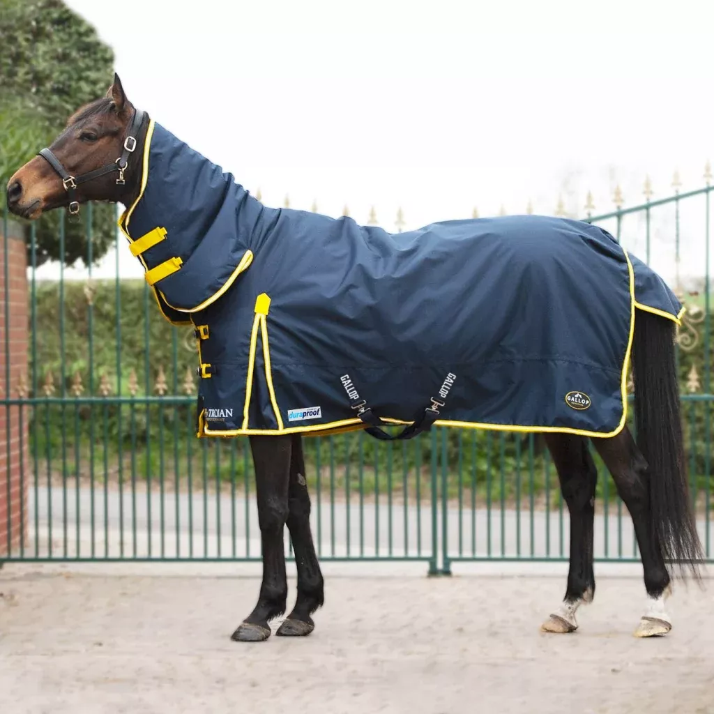 Gallop Trojan 200g Duraproof Combo Turnout