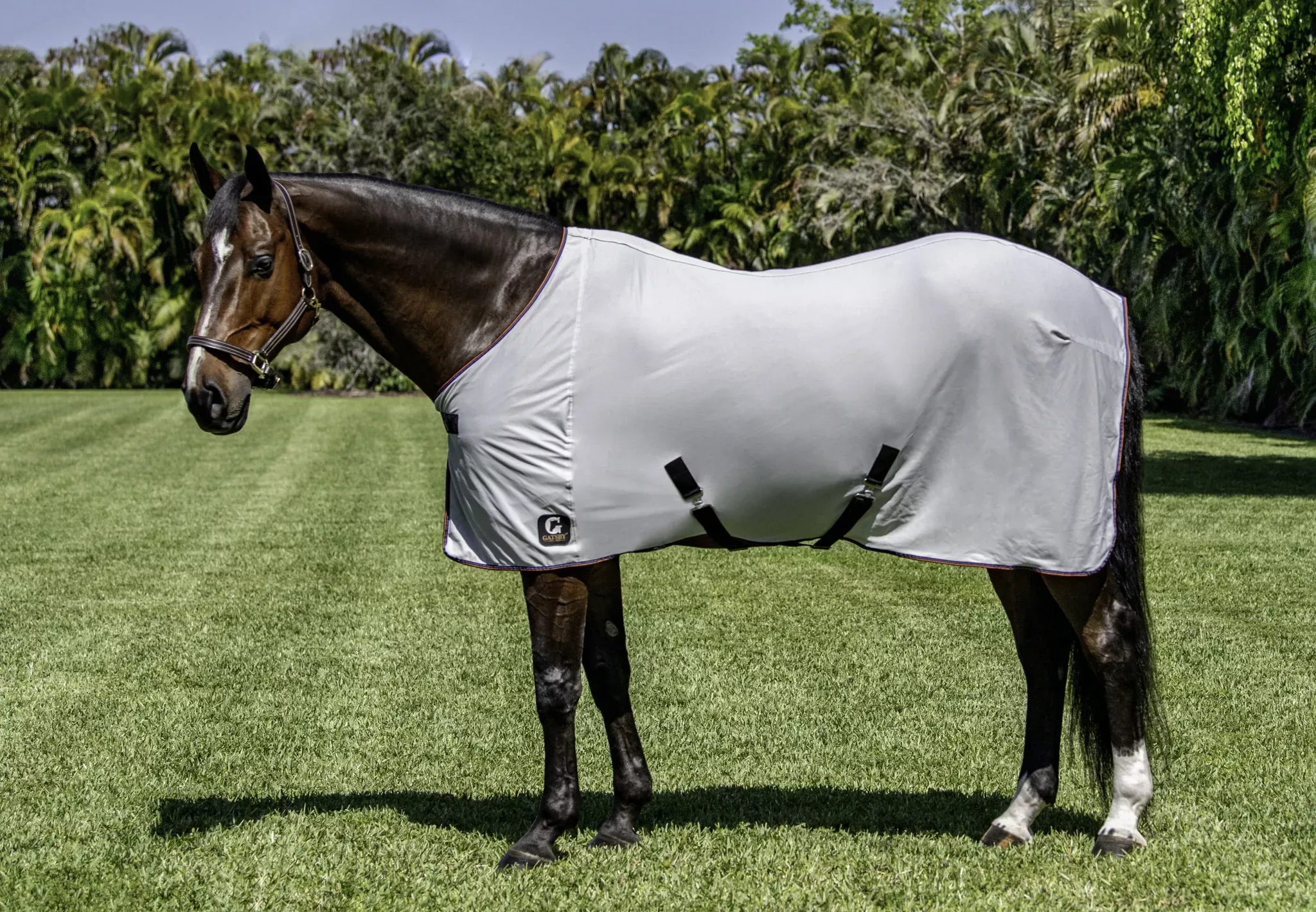 Gatsby Bug-Free Fly Sheet
