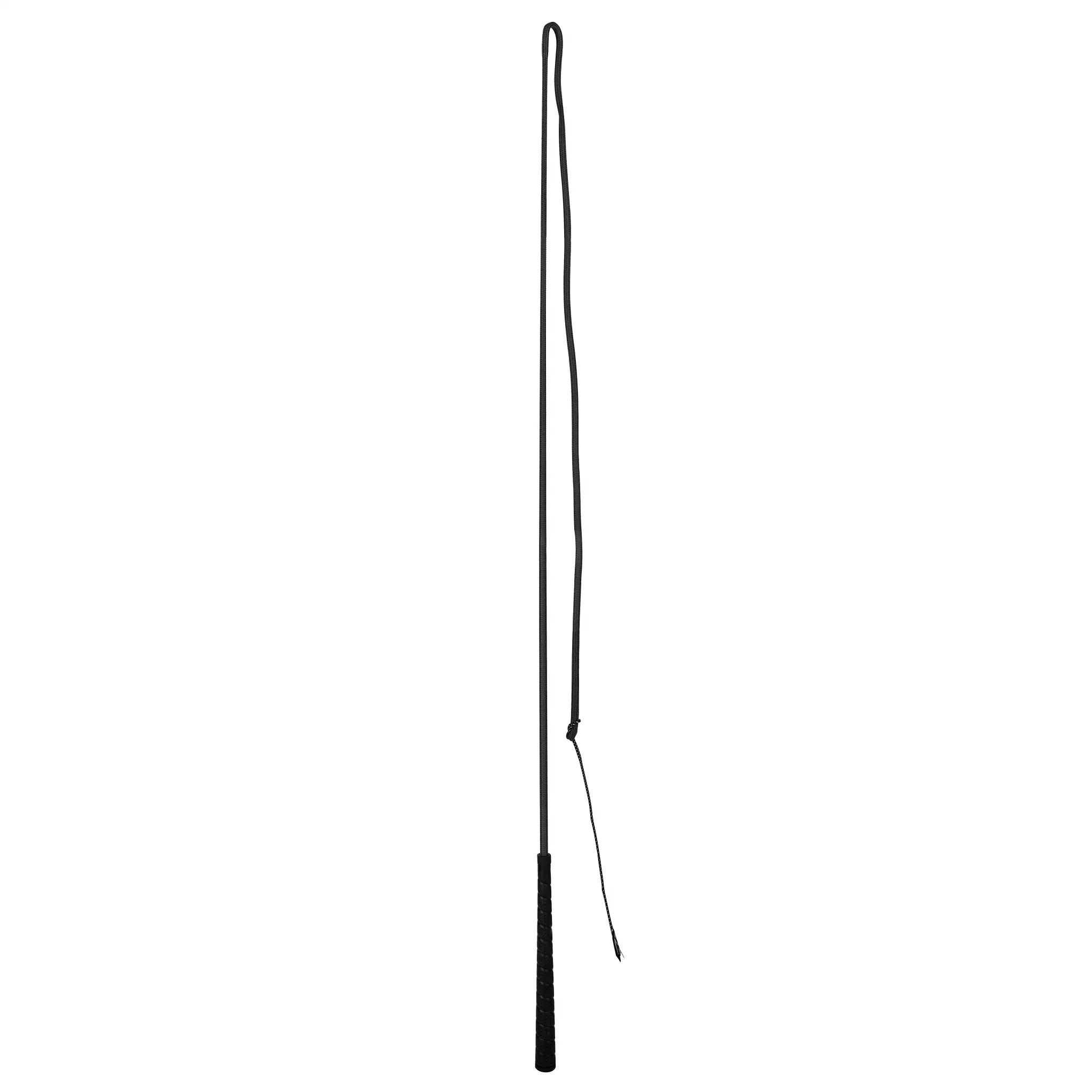 Gatsby Lunge Whip with 48" drop