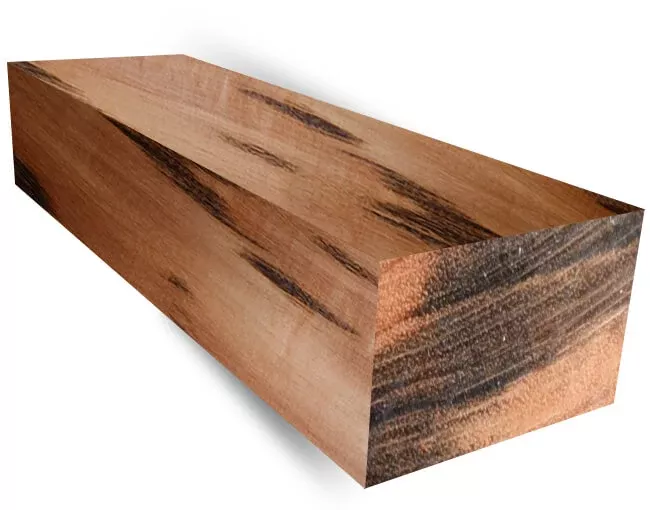 Goncalo Alves